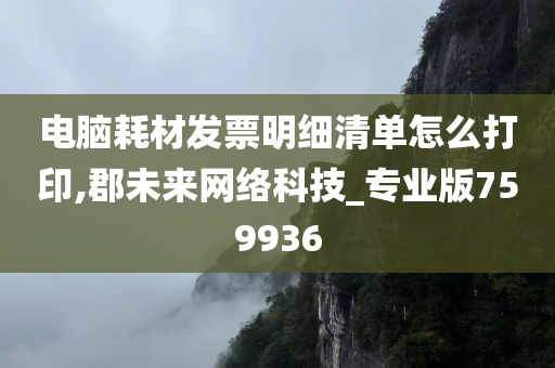 电脑耗材发票明细清单怎么打印,郡未来网络科技_专业版759936