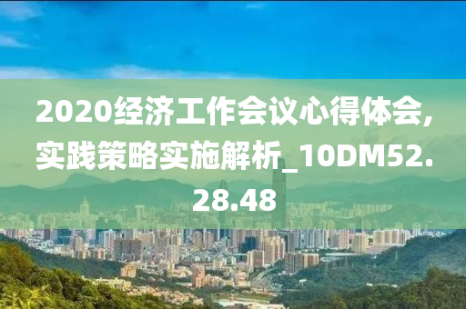 2020经济工作会议心得体会,实践策略实施解析_10DM52.28.48