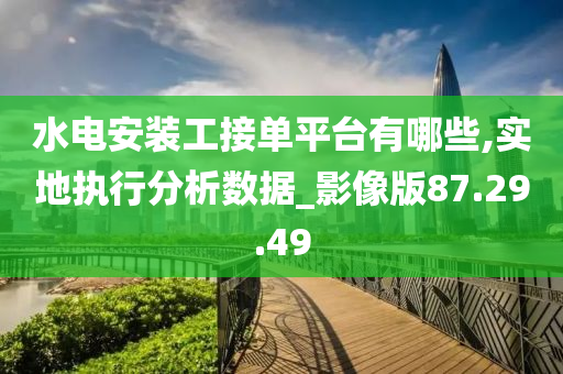 水电安装工接单平台有哪些,实地执行分析数据_影像版87.29.49