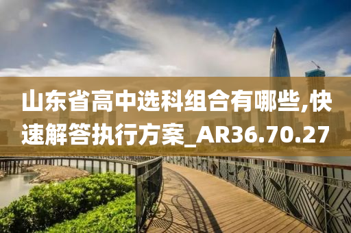 山东省高中选科组合有哪些,快速解答执行方案_AR36.70.27