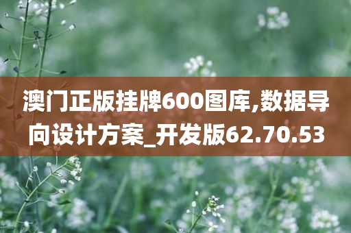 澳门正版挂牌600图库,数据导向设计方案_开发版62.70.53