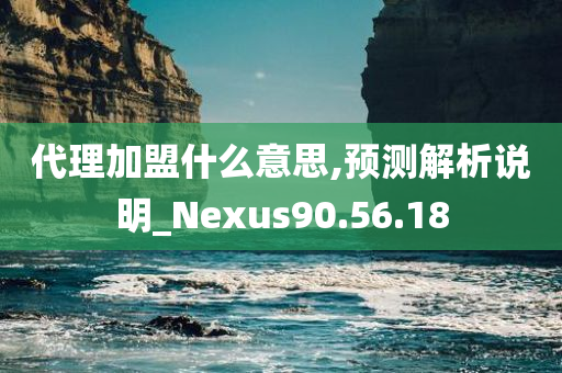 代理加盟什么意思,预测解析说明_Nexus90.56.18