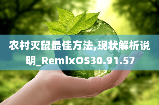 农村灭鼠最佳方法,现状解析说明_RemixOS30.91.57