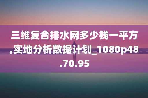 三维复合排水网多少钱一平方,实地分析数据计划_1080p48.70.95