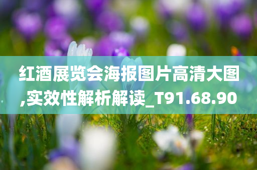 红酒展览会海报图片高清大图,实效性解析解读_T91.68.90