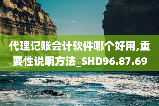 代理记账会计软件哪个好用,重要性说明方法_SHD96.87.69