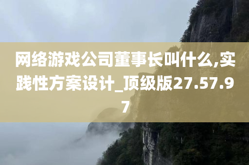 网络游戏公司董事长叫什么,实践性方案设计_顶级版27.57.97