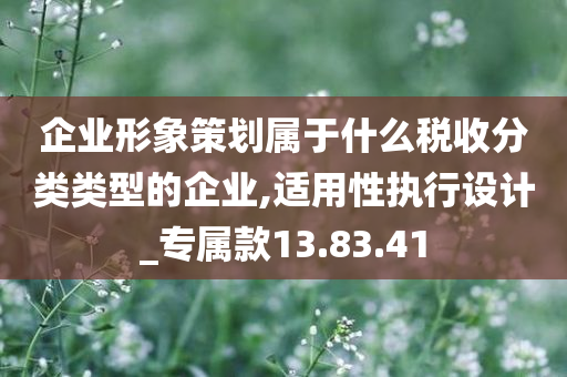 企业形象策划属于什么税收分类类型的企业,适用性执行设计_专属款13.83.41