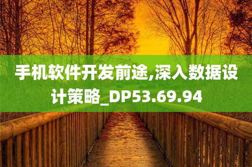 手机软件开发前途,深入数据设计策略_DP53.69.94