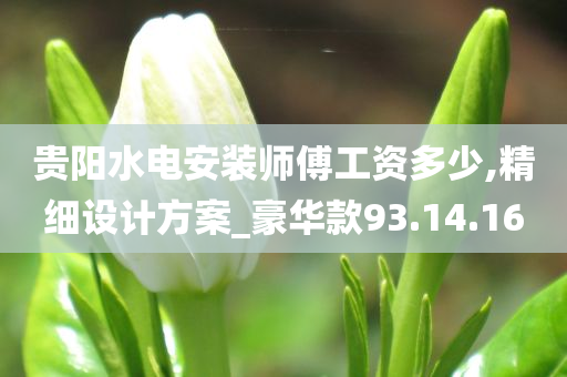 贵阳水电安装师傅工资多少,精细设计方案_豪华款93.14.16