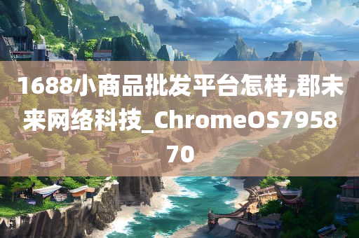 1688小商品批发平台怎样,郡未来网络科技_ChromeOS795870