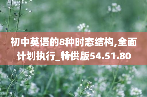 初中英语的8种时态结构,全面计划执行_特供版54.51.80