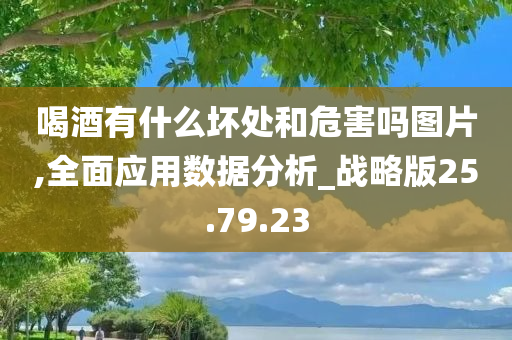 喝酒有什么坏处和危害吗图片,全面应用数据分析_战略版25.79.23