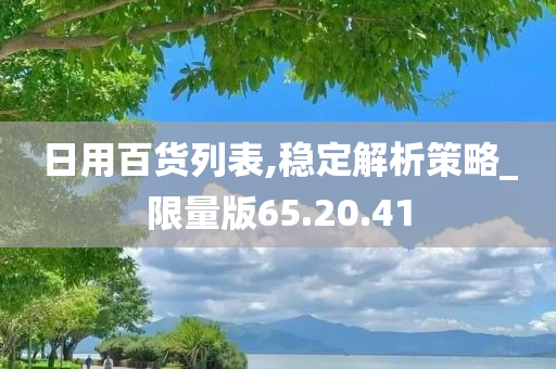 日用百货列表,稳定解析策略_限量版65.20.41