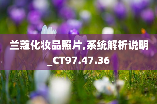 兰蔻化妆品照片,系统解析说明_CT97.47.36