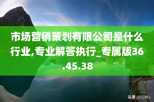 市场营销策划有限公司是什么行业,专业解答执行_专属版36.45.38