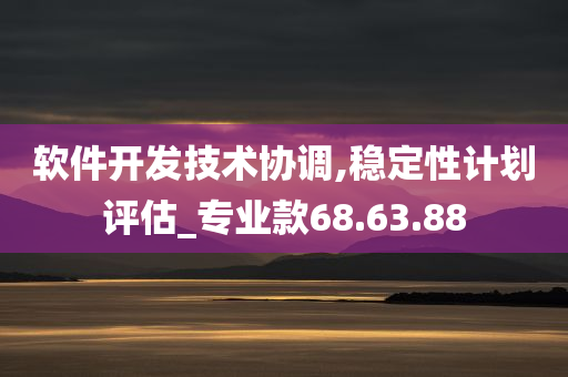 软件开发技术协调,稳定性计划评估_专业款68.63.88