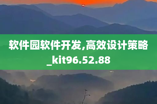 软件园软件开发,高效设计策略_kit96.52.88