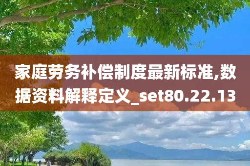 家庭劳务补偿制度最新标准,数据资料解释定义_set80.22.13