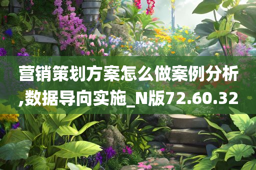 营销策划方案怎么做案例分析,数据导向实施_N版72.60.32