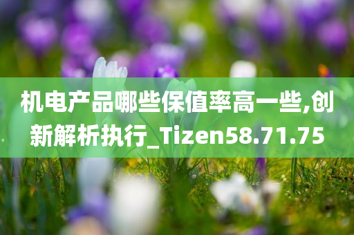 机电产品哪些保值率高一些,创新解析执行_Tizen58.71.75