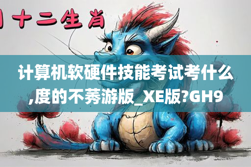 计算机软硬件技能考试考什么,度的不莠游版_XE版?GH9