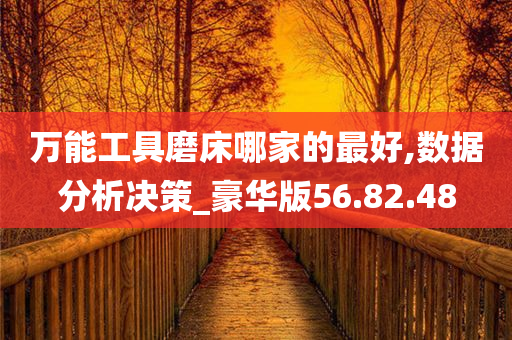 万能工具磨床哪家的最好,数据分析决策_豪华版56.82.48