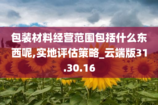 包装材料经营范围包括什么东西呢,实地评估策略_云端版31.30.16