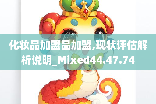 化妆品加盟品加盟,现状评估解析说明_Mixed44.47.74