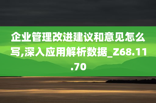 企业管理改进建议和意见怎么写,深入应用解析数据_Z68.11.70