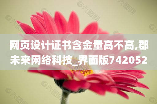 网页设计证书含金量高不高,郡未来网络科技_界面版742052