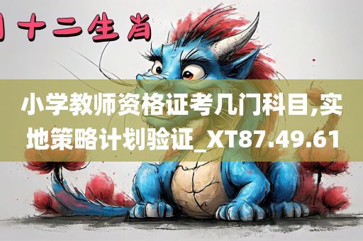 小学教师资格证考几门科目,实地策略计划验证_XT87.49.61