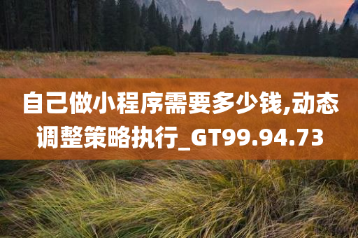 自己做小程序需要多少钱,动态调整策略执行_GT99.94.73