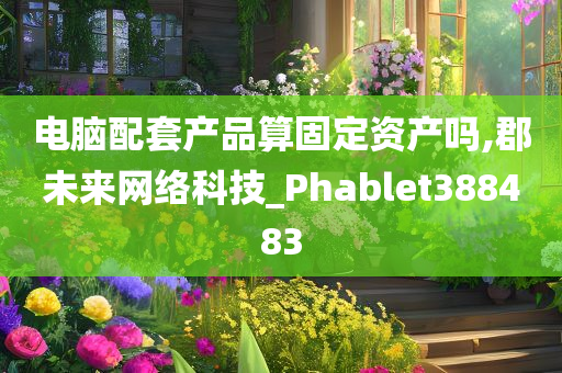 电脑配套产品算固定资产吗,郡未来网络科技_Phablet388483