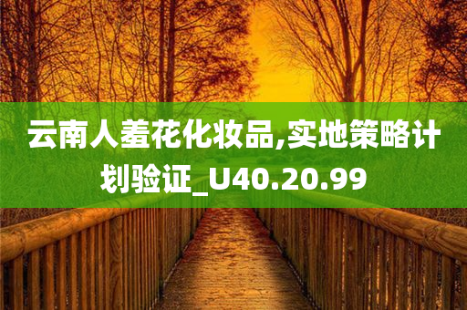 云南人羞花化妆品,实地策略计划验证_U40.20.99