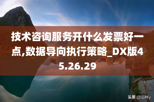 技术咨询服务开什么发票好一点,数据导向执行策略_DX版45.26.29