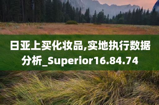 日亚上买化妆品,实地执行数据分析_Superior16.84.74