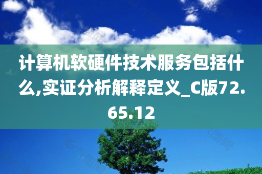 计算机软硬件技术服务包括什么,实证分析解释定义_C版72.65.12