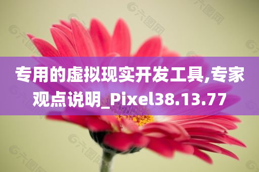 专用的虚拟现实开发工具,专家观点说明_Pixel38.13.77