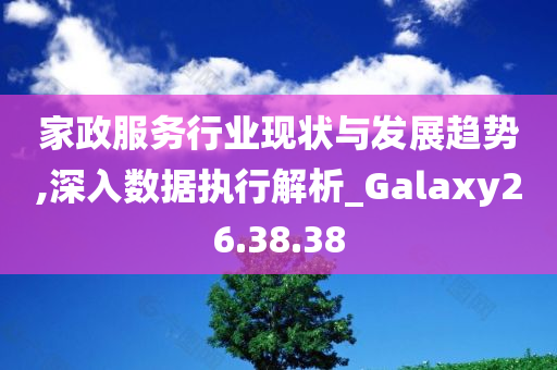 家政服务行业现状与发展趋势,深入数据执行解析_Galaxy26.38.38