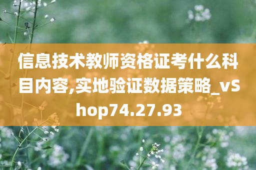 信息技术教师资格证考什么科目内容,实地验证数据策略_vShop74.27.93