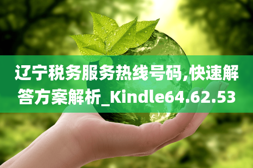 辽宁税务服务热线号码,快速解答方案解析_Kindle64.62.53