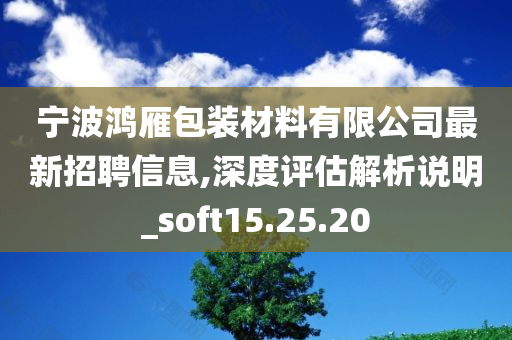 宁波鸿雁包装材料有限公司最新招聘信息,深度评估解析说明_soft15.25.20