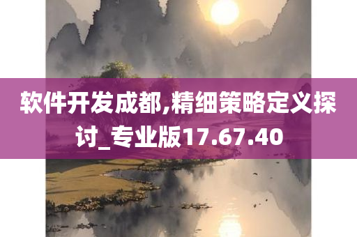 软件开发成都,精细策略定义探讨_专业版17.67.40