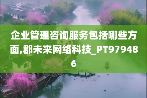 企业管理咨询服务包括哪些方面,郡未来网络科技_PT979486