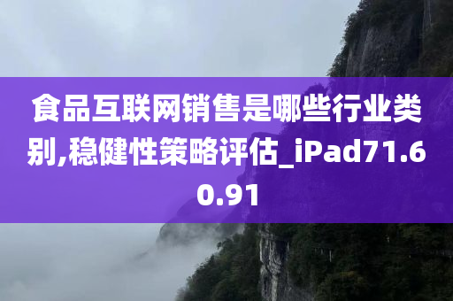 食品互联网销售是哪些行业类别,稳健性策略评估_iPad71.60.91