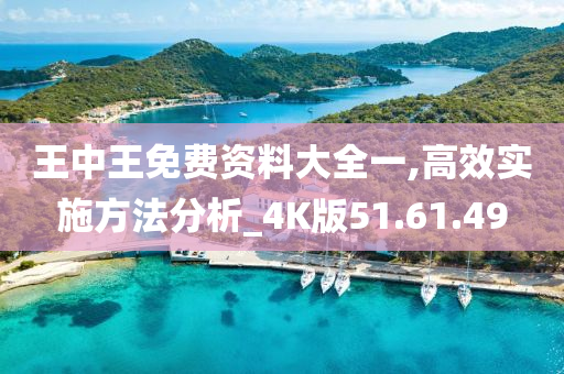 王中王免费资料大全一,高效实施方法分析_4K版51.61.49