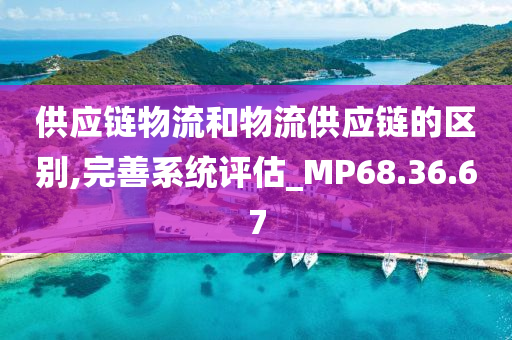 供应链物流和物流供应链的区别,完善系统评估_MP68.36.67