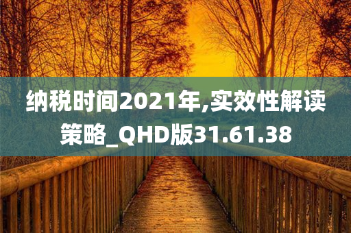 纳税时间2021年,实效性解读策略_QHD版31.61.38