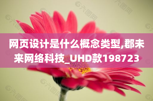 网页设计是什么概念类型,郡未来网络科技_UHD款198723